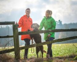 Hunde